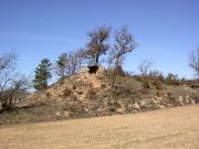 Dolmen del Collet de Su 1/2