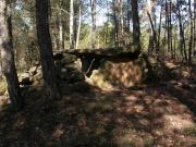 Dolmen de la Pera o del Collet del Consell 3/3