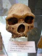 Home de Taltaüll, Homo heidelbergensis, Cova de l'Aragó