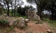 Dolmen de Puig Sespedras