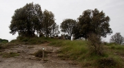 Dolmen de Puig Sespedras