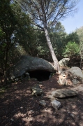 Roca Llobatera