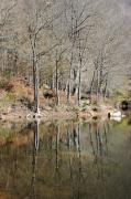 Reflexes de tardor. Pantà de Sta. Fe del Montseny