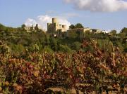 Castell de Castellet