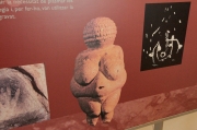 Venus de Willendorf