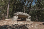 Dolmen de can Planes