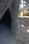 Roca foradada