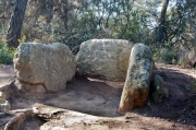 Dolmen de Can Gol II