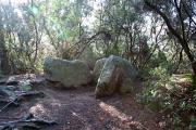 Dolmen de Can Gol II  3de3