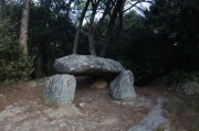 Dolmen de can Planes 2-12