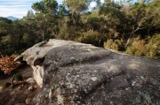 La Pedra de les Orenetes. 21-22