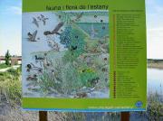 Cartell d'especies al Estany d'Ivars