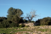 Poblat de Sant Agustí Vell