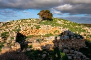 Es Castellàs des Caparrot  de Forma