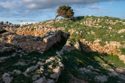 Es Castellàs des Caparrot  de Forma