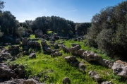 Poblat de Sant Vicenç d'Alcaidús