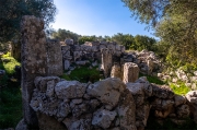 Poblat de Sant Vicenç d'Alcaidús