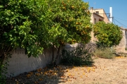 Passejant per  Arenys d'Empordà