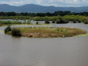 Delta del LLobregat.