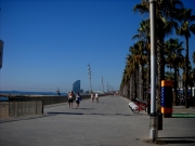 Passeig maritim de la Barceloneta 2 de 3