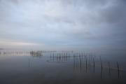 Llac de l'Albufera