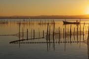 Albufera de Valencia