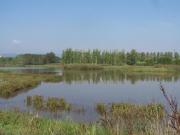 Estany de Sils