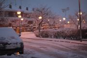 Nevant a Guissona