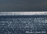 La mar