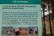 Cartell: La vall de Santa Catarina  6de9