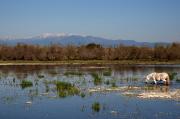 Estany de VilaÜt