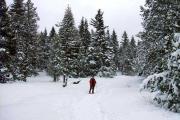 Balcó de la Cerdanya, Fontromeu, França.