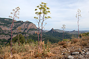 La Morella, el Torre Mur i Abellerols