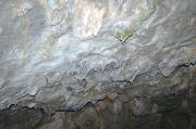 Cova de Rialb