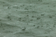 Pluja al Clot.