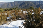 Vistes del Pirineu des de la serra de Boumort.