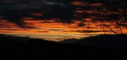 l'Alba vista des d'un camp a les afores de Tornos Terol.