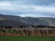 Mirant cap a la Serra de Montclús