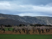 Mirant cap a la Serra de Montclús