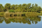 Vista des de l'Aguait de la Bassa dels Pollancres