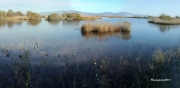 Estany de La Massona