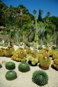 Jardins de Mossén Costa i Llobera