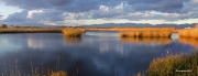 Estany de La Massona