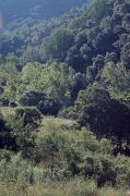 Montseny. Proximitats del Figaró.