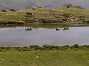 Balcó del Pallars