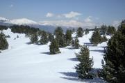 Paisatge nevat als Rasos de Peguera