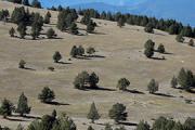 SERRA DEL CADÍ: EL GOLERÓ-PRAT MAJOR