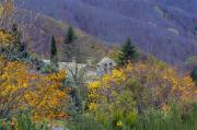 Colors de Tardor-Sant Marçal-Montseny