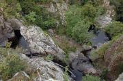 Torrent de la Figuera. Montseny (2)