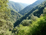 Vall de la Riera de la Figuera